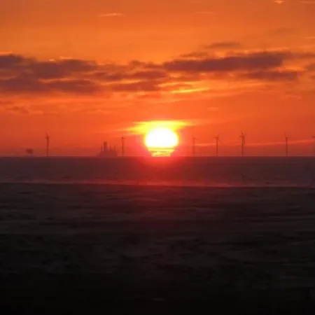 Sanddorn * Borkum